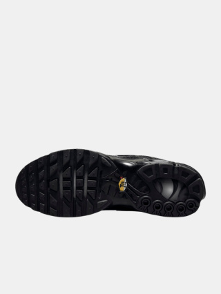 Buty Sportowe Nike Air Max Plus 604133-050