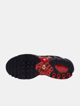 Buty Sportowe Nike Air Max Plus CU4864-001
